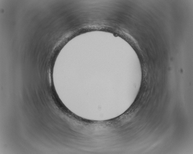 X0000069380020200606091702