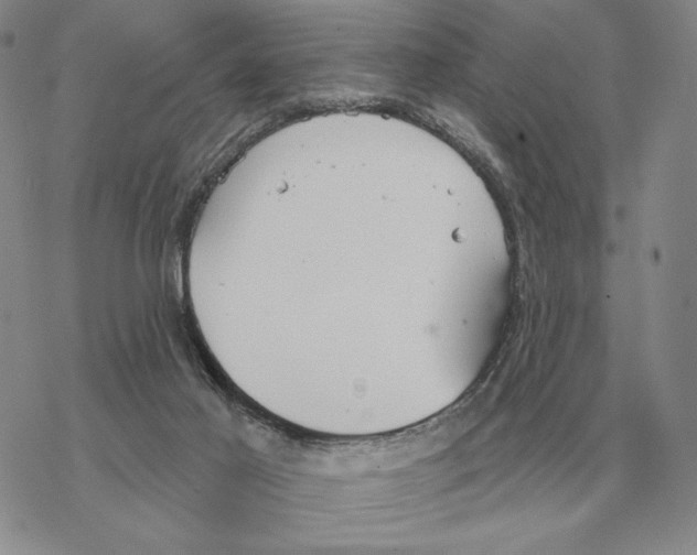 X0000069380021200606091702