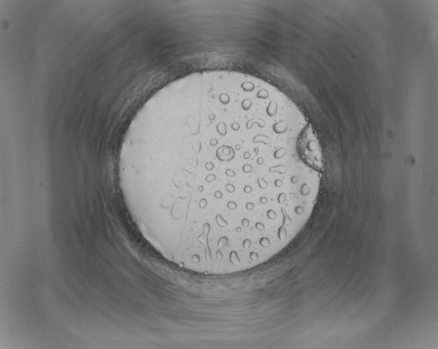 X0000069380022200606091702