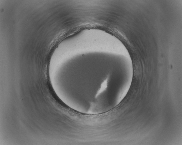 X0000069380023200606091702