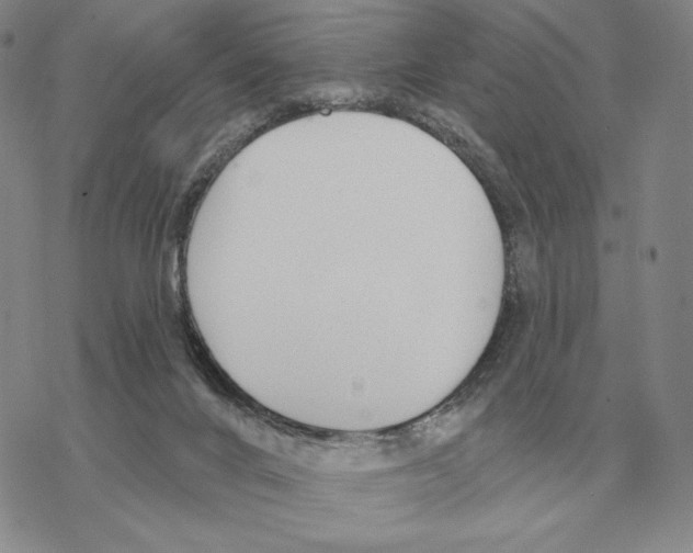 X0000069380024200606091702