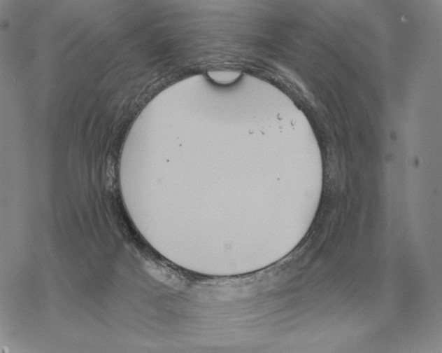 X0000069380025200606091702