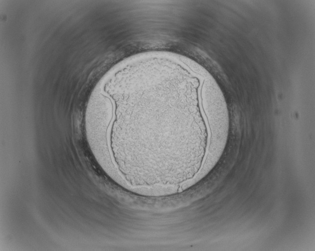 X0000069380026200606091702