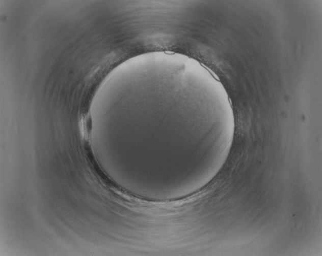 X0000069380027200606091702