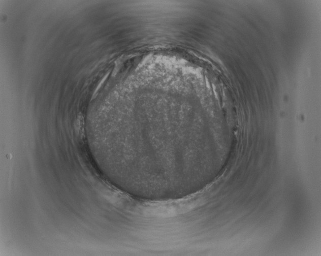 X0000069380029200606091702