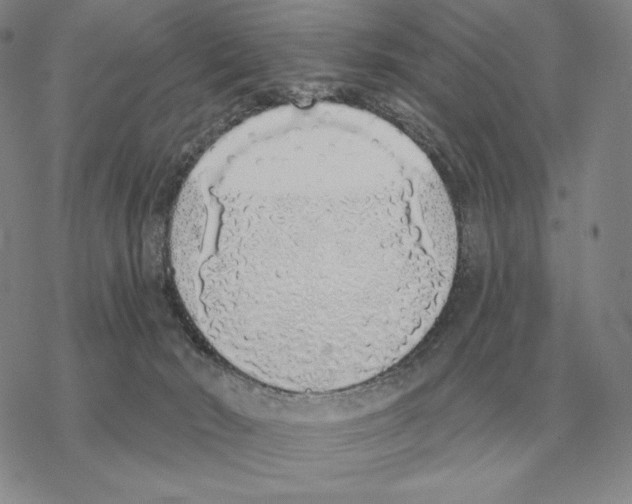 X0000069380030200606091702