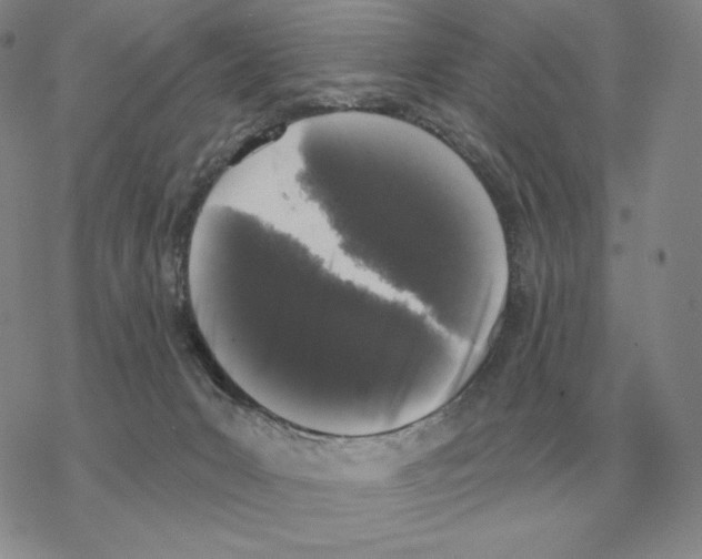 X0000069380031200606091702