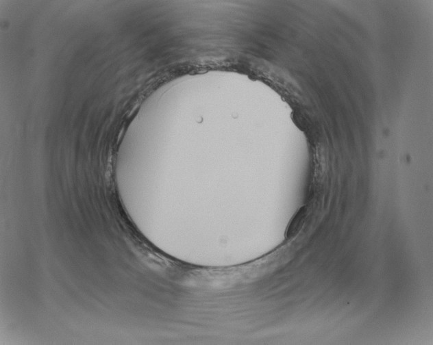 X0000069380033200606091702