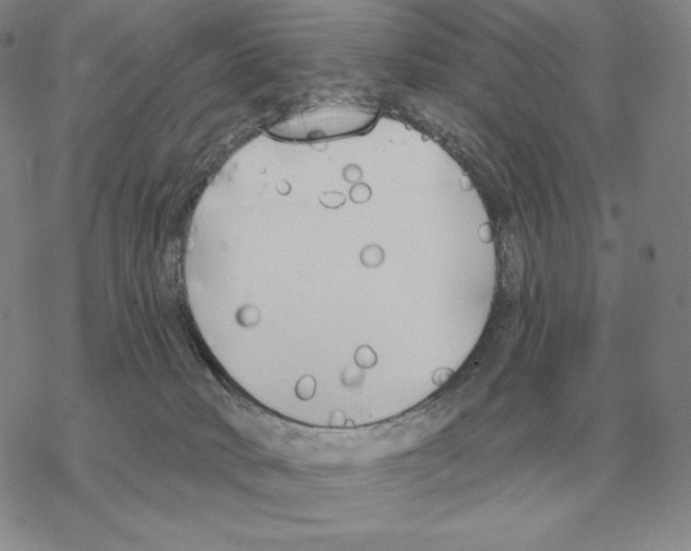 X0000069380034200606091702