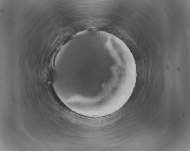 X0000069380035200606091702