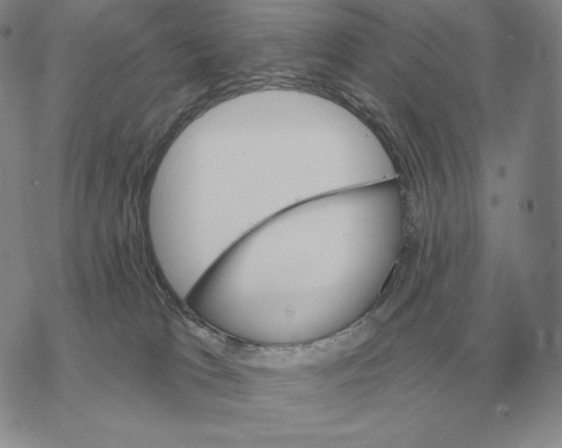 X0000069380037200606091702