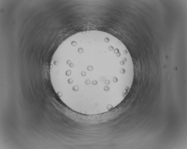 X0000069380038200606091702