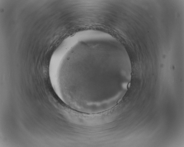 X0000069380039200606091702