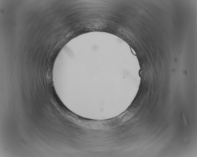 X0000069380040200606091702