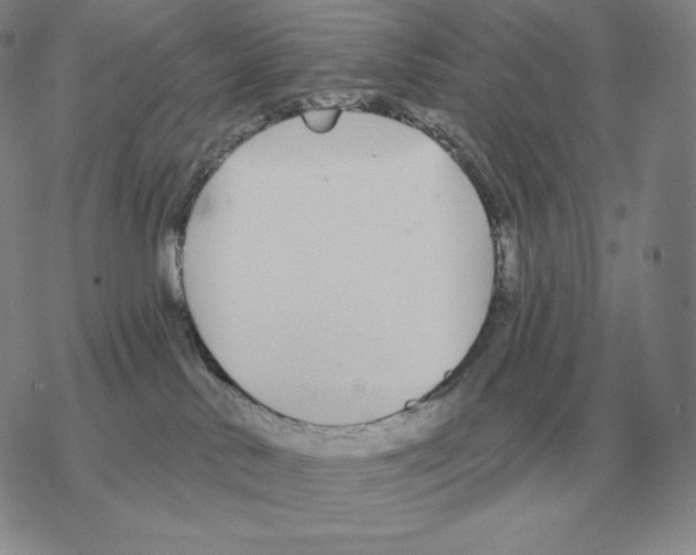 X0000069380042200606091702