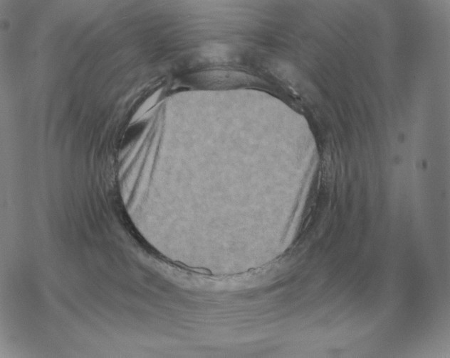 X0000069380043200606091702