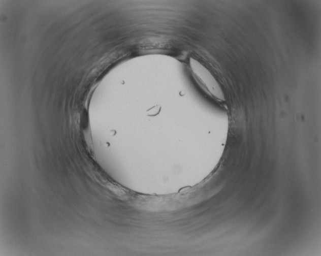 X0000069380045200606091702