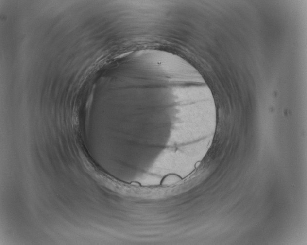 X0000069380048200606091702