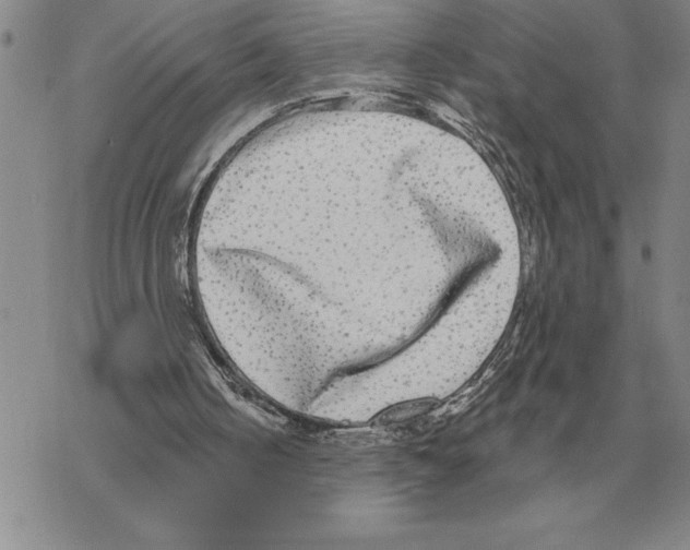 X0000069380050200606091701