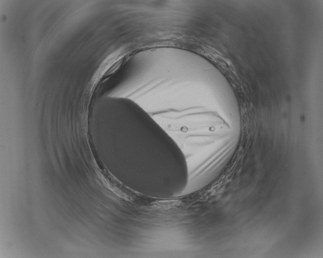 X0000069380051200606091701