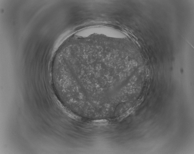 X0000069380053200606091701