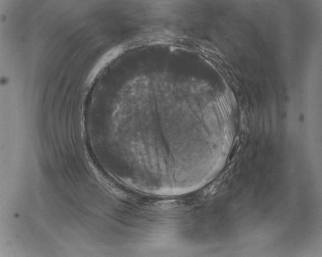 X0000069380054200606091701