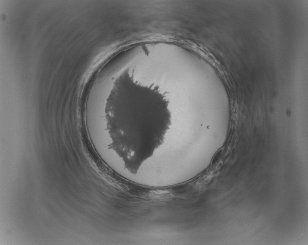 X0000069380055200606091701