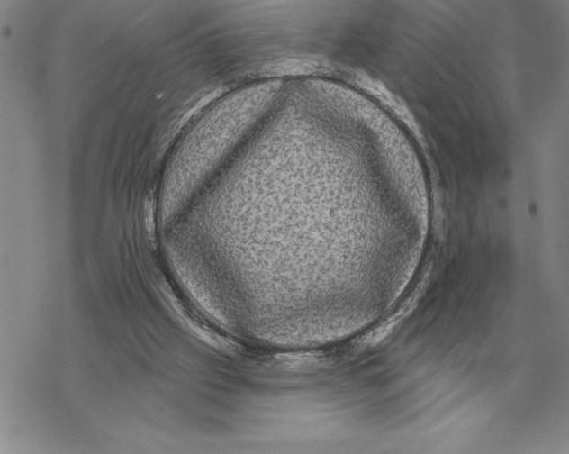 X0000069380057200606091701