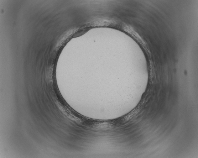 X0000069380058200606091701