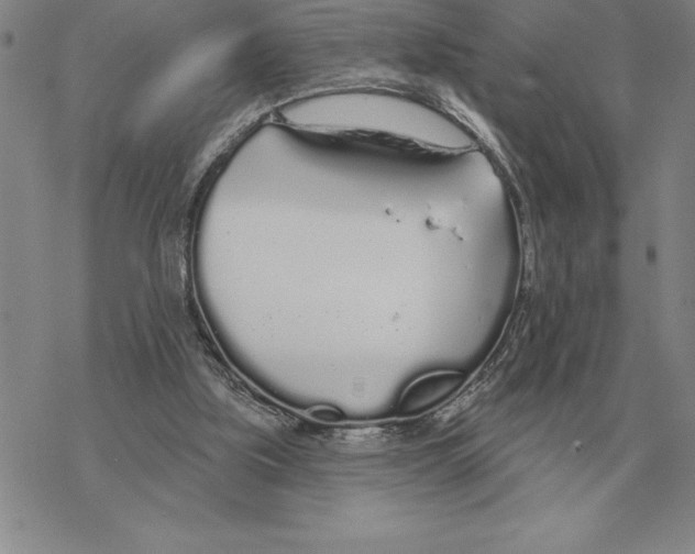 X0000069380059200606091701