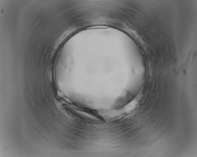 X0000069380060200606091701