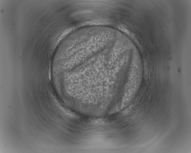 X0000069380062200606091701