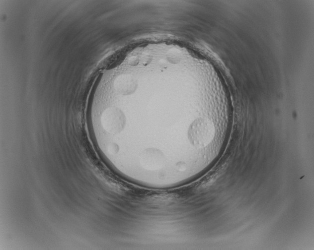 X0000069380063200606091701