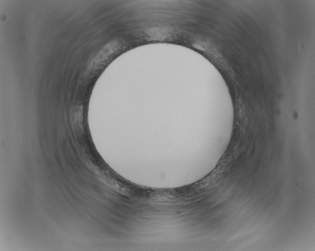 X0000069380066200606091701