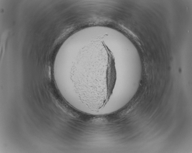 X0000069380067200606091701