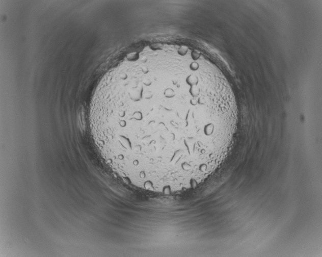 X0000069380069200606091701