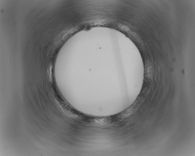 X0000069380070200606091701