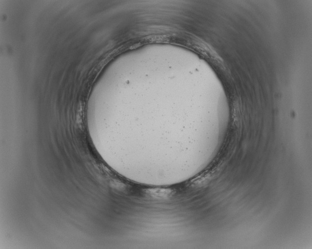 X0000069380073200606091701