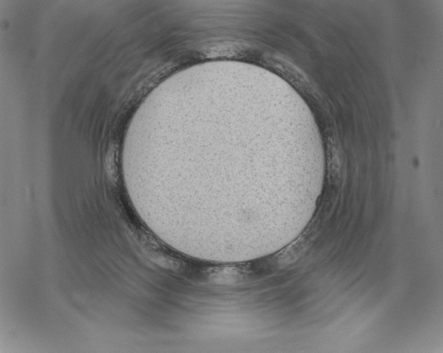 X0000069380074200606091701