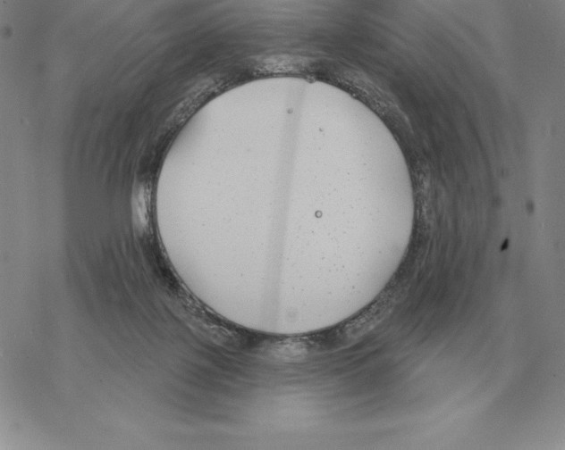 X0000069380075200606091701