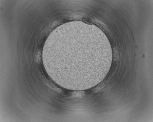 X0000069380077200606091701