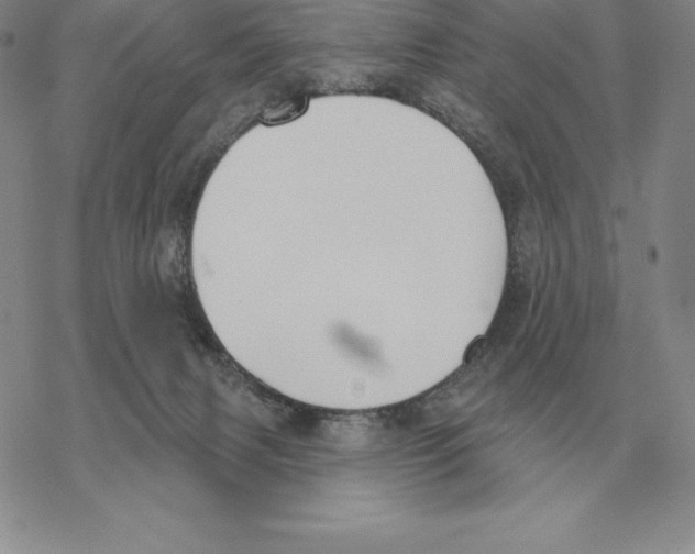 X0000069380079200606091701