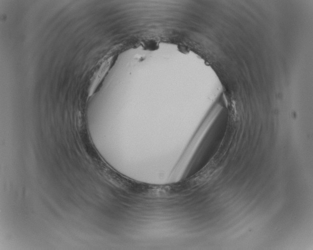 X0000069380080200606091701