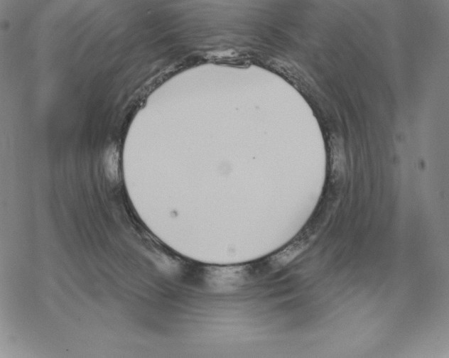 X0000069380081200606091701