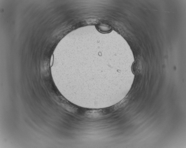 X0000069380082200606091701