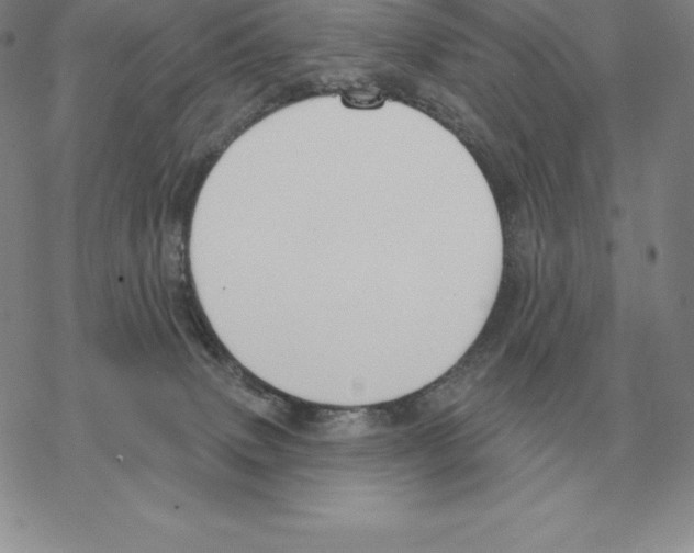 X0000069380083200606091701