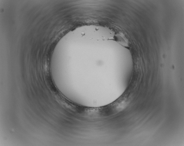 X0000069380084200606091701