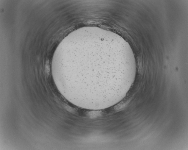 X0000069380085200606091701