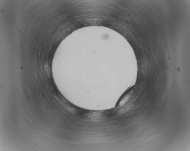 X0000069380086200606091701