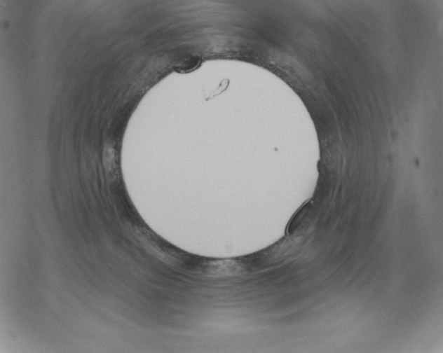 X0000069380087200606091702